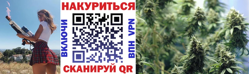 Купить закладки  Велиж  Бошки Шишки сатива 